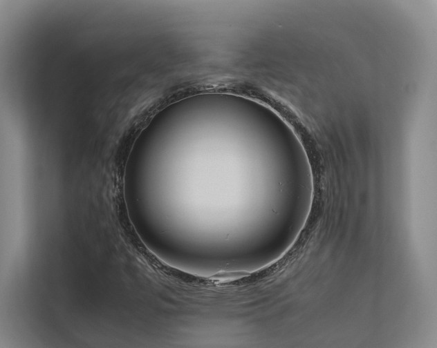 X0000112731447200908201316