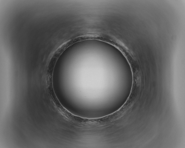 X0000112731448200908201316