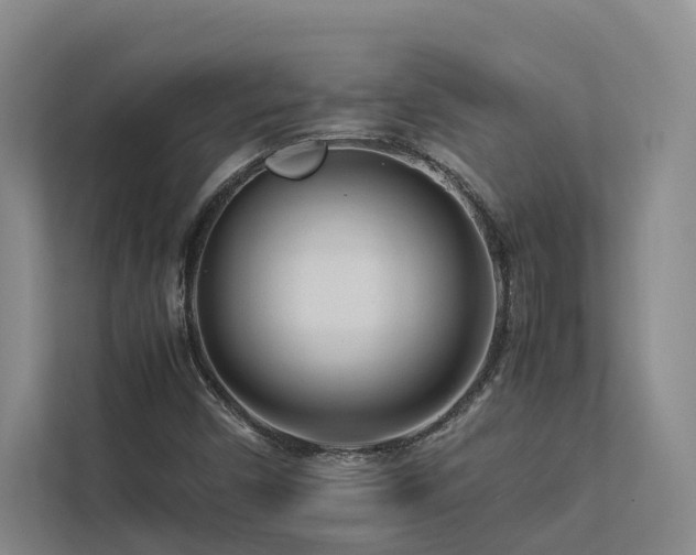 X0000112731450200908201316