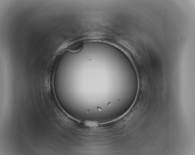 X0000112731451200908201316