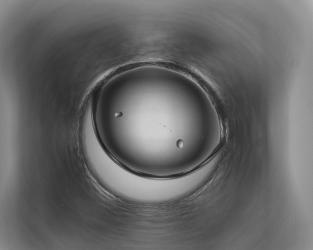 X0000112731452200908201316