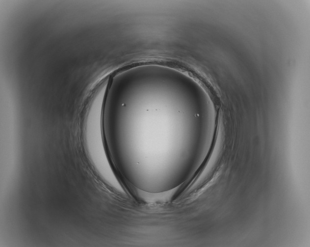 X0000112731453200908201316