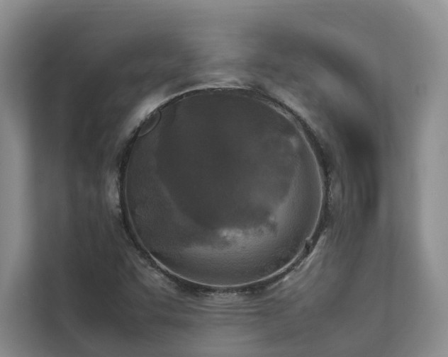 X0000112731455200908201316