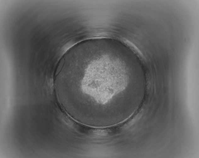 X0000112731457200908201316