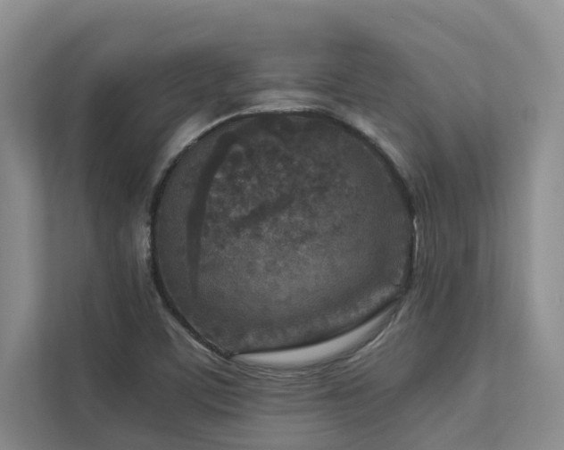 X0000112731459200908201316