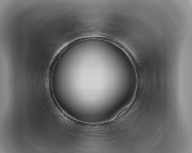 X0000112731460200908201316