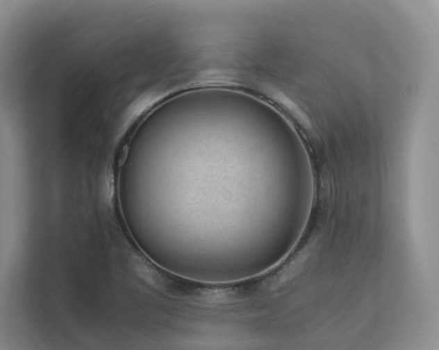 X0000112731461200908201316