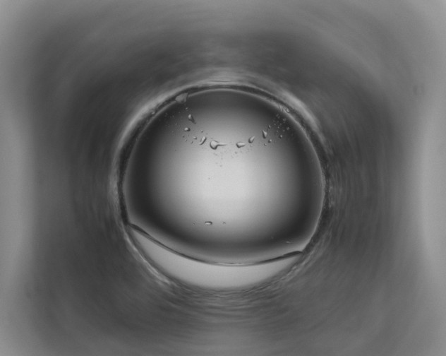 X0000112731464200908201316