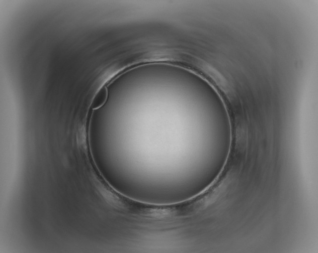 X0000112731465200908201316