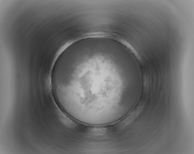 X0000112731466200908201316