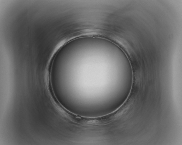 X0000112731467200908201316