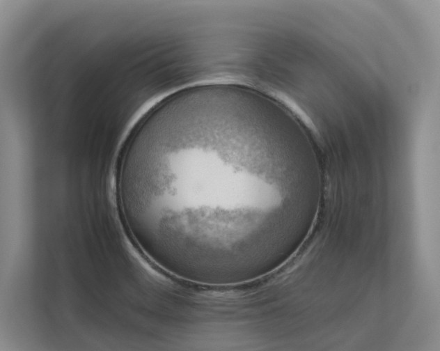 X0000112731468200908201316