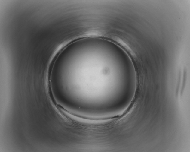 X0000112731469200908201316