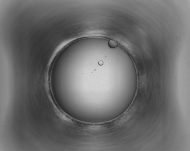 X0000112731470200908201316