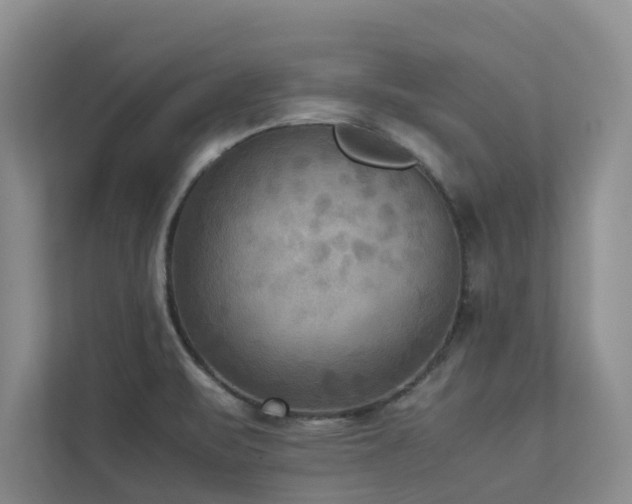 X0000112731471200908201316