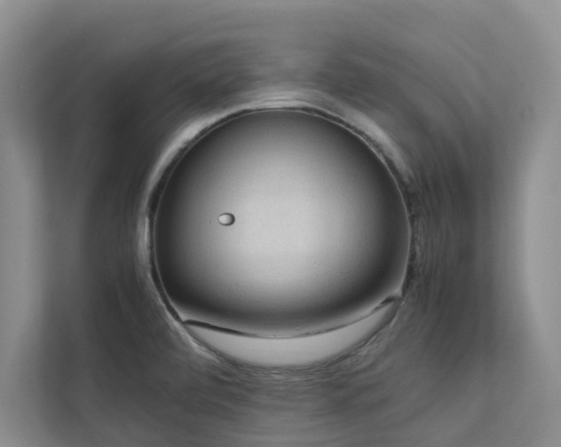 X0000112731472200908201316