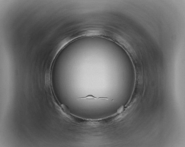 X0000112731473200908201316