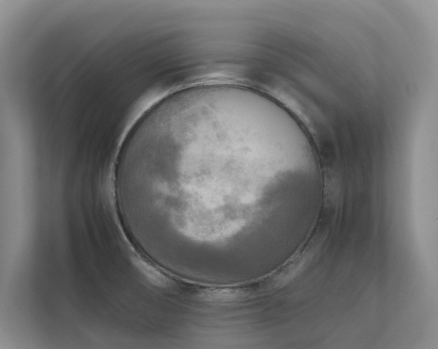 X0000112731474200908201316