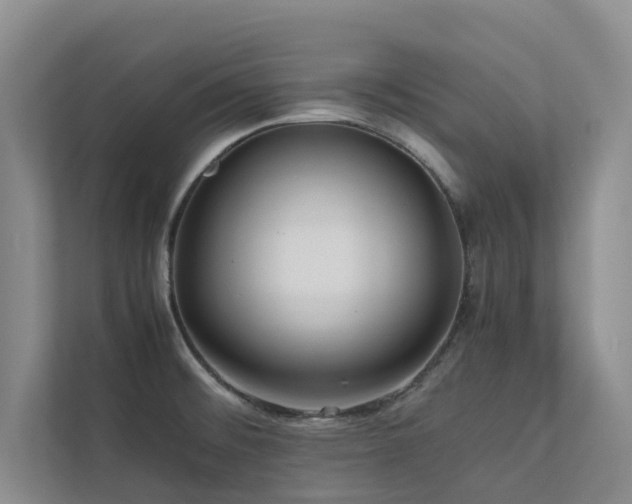 X0000112731476200908201316