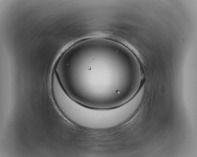 X0000112731477200908201316