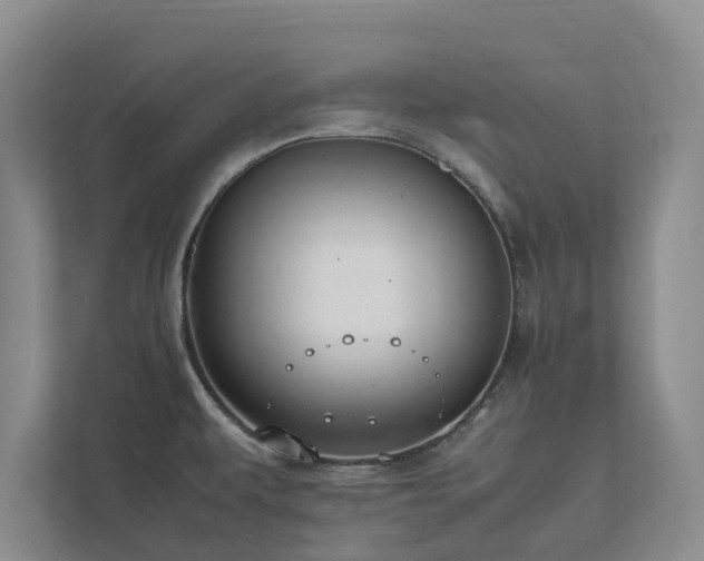 X0000112731479200908201316