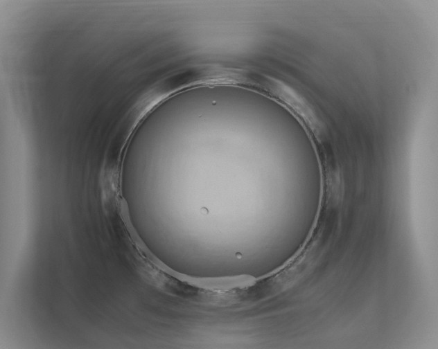 X0000112731481200908201316