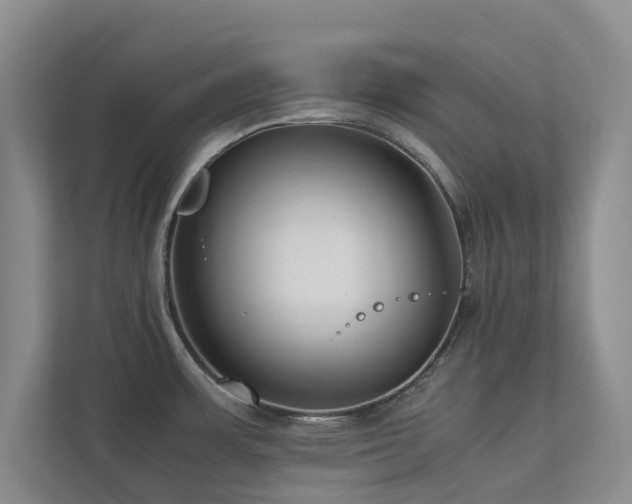 X0000112731483200908201316