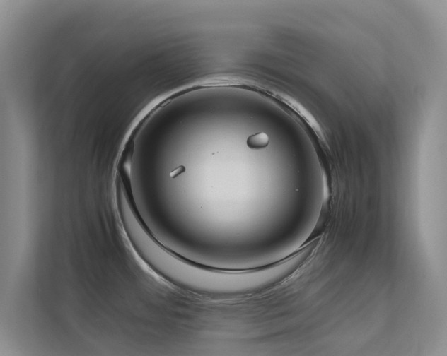 X0000112731484200908201316