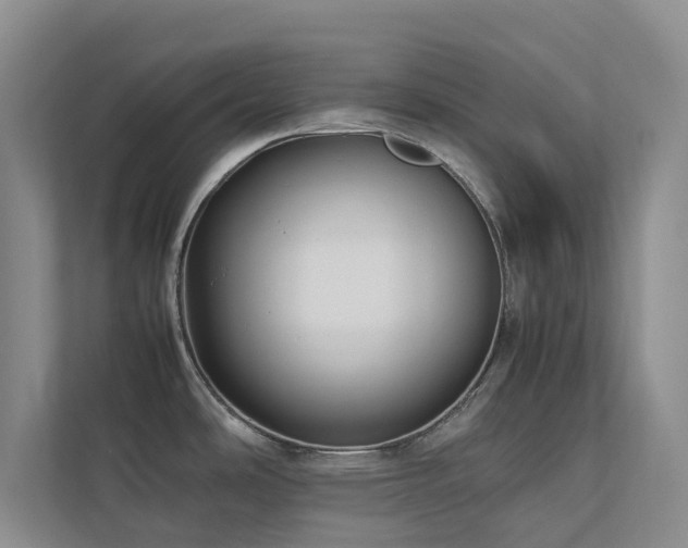 X0000112731486200908201316