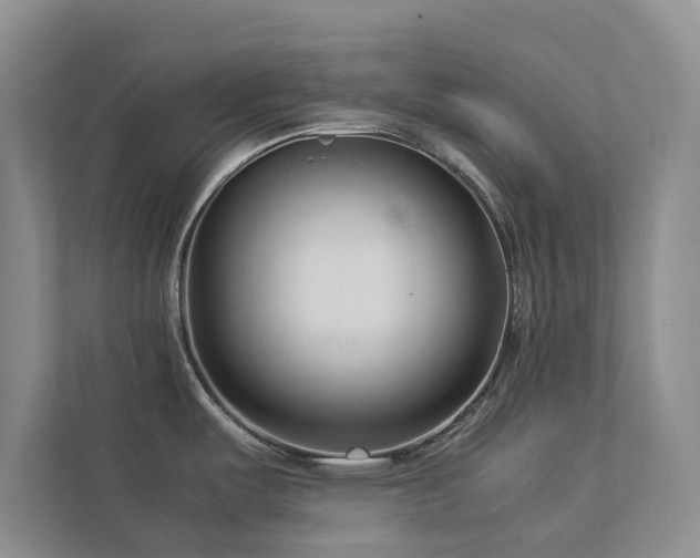 X0000112731487200908201316