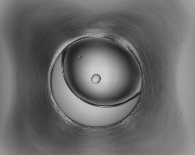 X0000112731488200908201316