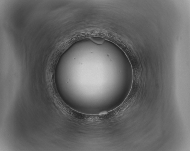 X0000112731489200908201315