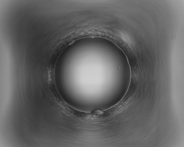 X0000112731490200908201315