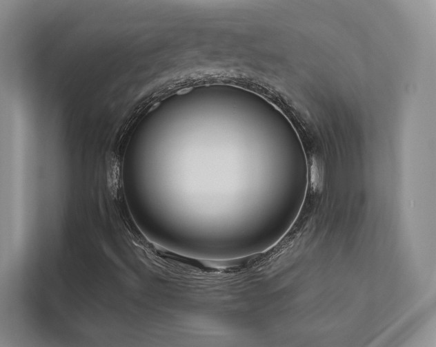 X0000112731492200908201315