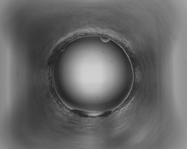 X0000112731494200908201315