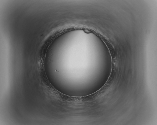 X0000112731495200908201315