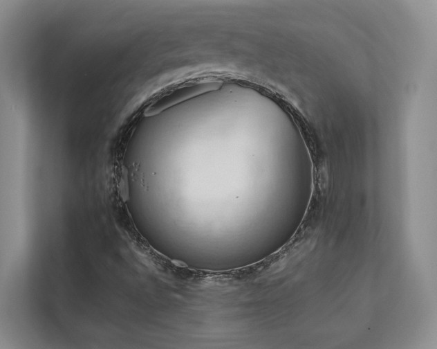 X0000112731496200908201315