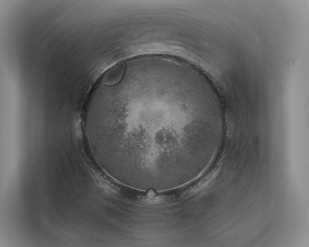 X0000112731497200908201315