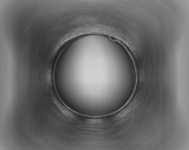 X0000112731499200908201315