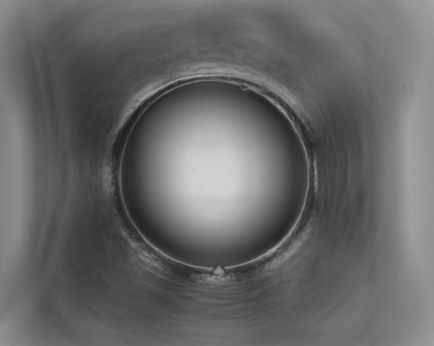 X0000112731501200908201315