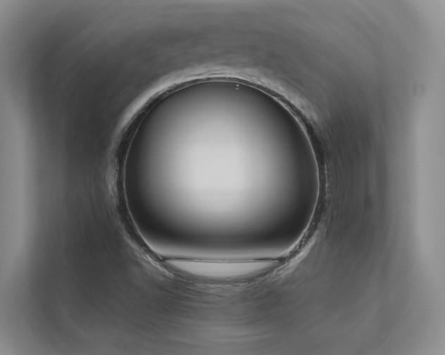 X0000112731502200908201315