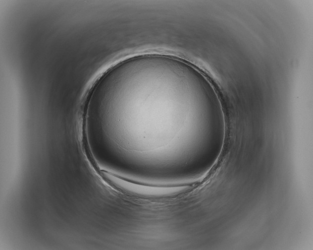 X0000112731504200908201315