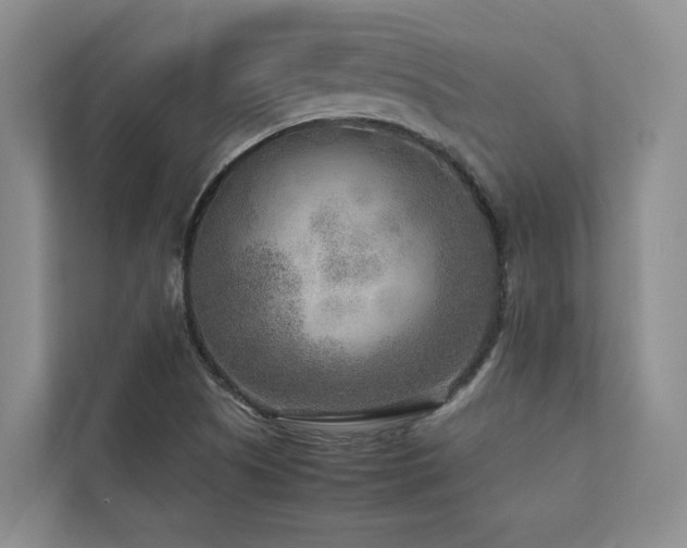 X0000112731505200908201315