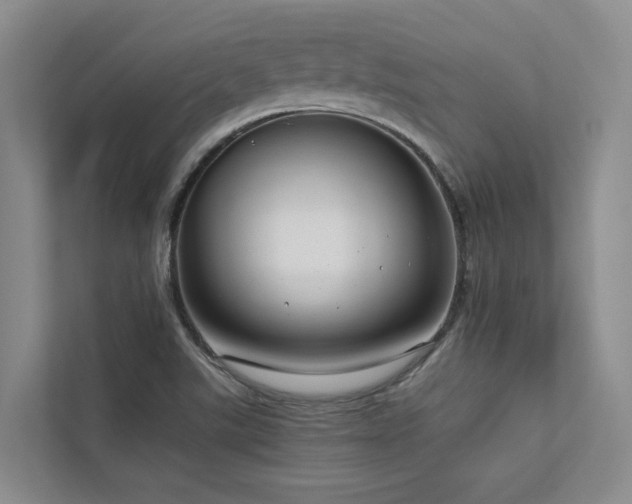 X0000112731507200908201315