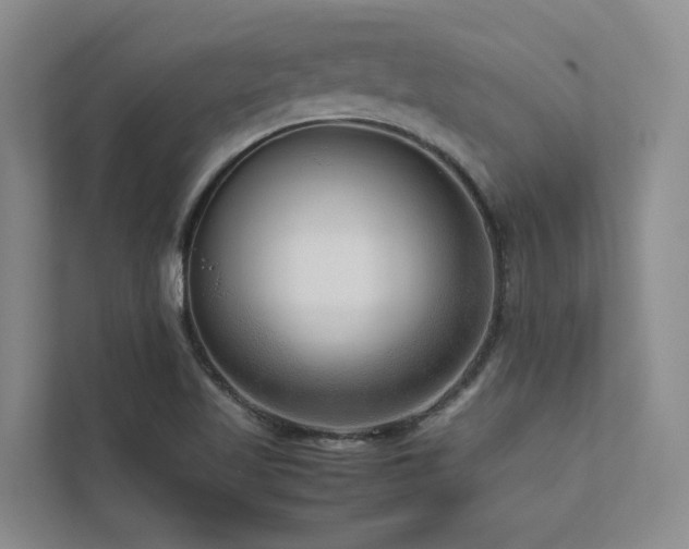 X0000112731509200908201315