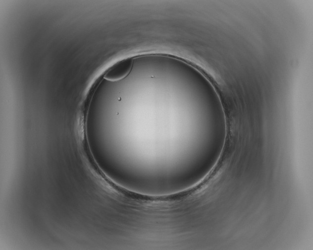 X0000112731510200908201315