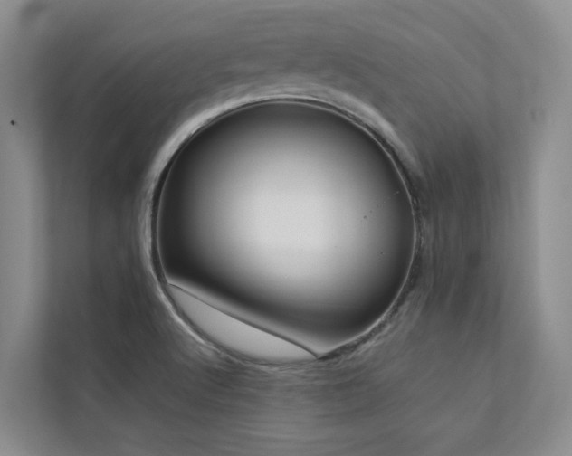 X0000112731512200908201315