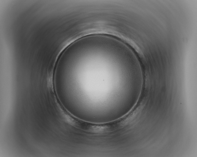 X0000112731513200908201315