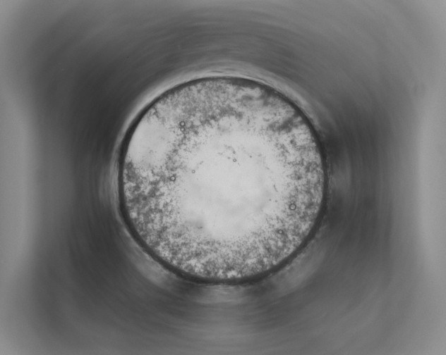 X0000112731514200908201315