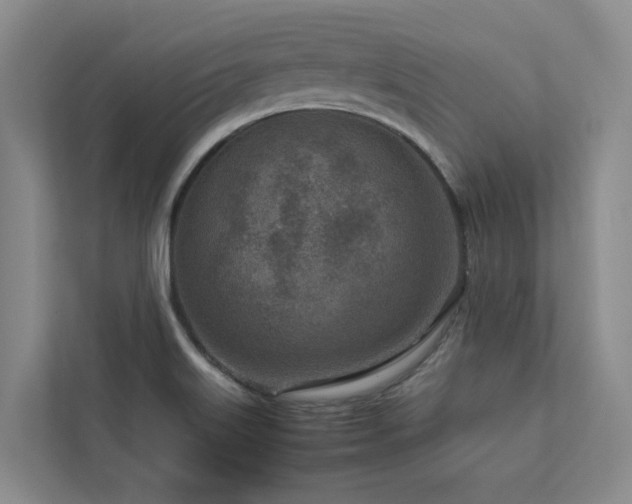 X0000112731515200908201315